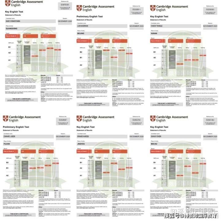新澳2024年精准资料,稳定性操作方案分析_终极版8.423